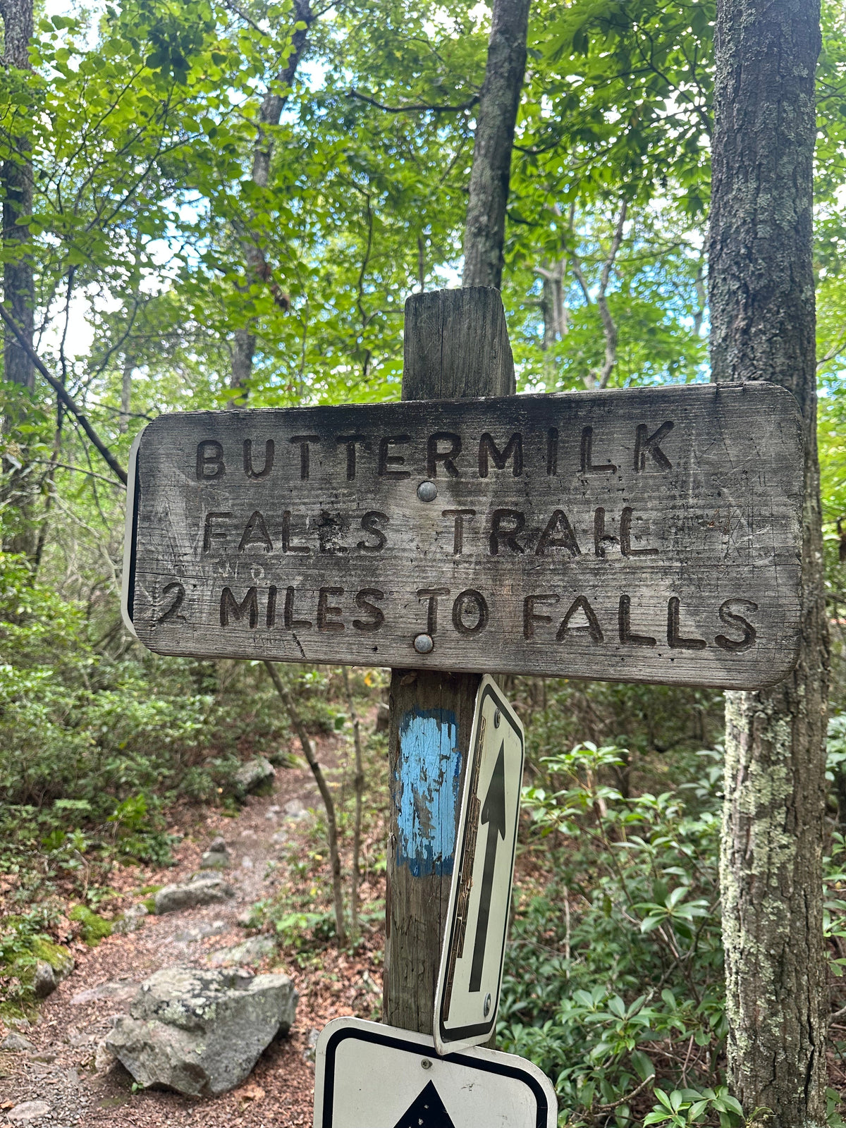 Best Hiking Snacks for Long Walks and Everyday Adventures