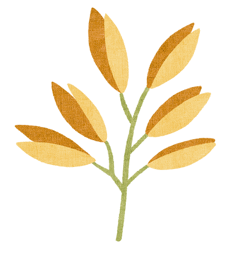 Decorative leaf pattern on a white background