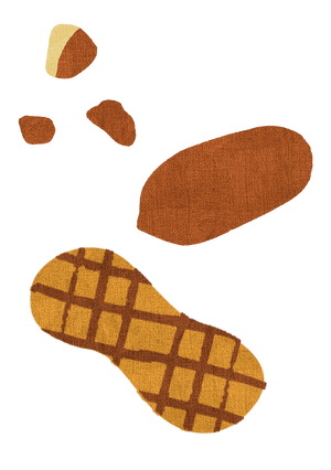 Illustration of a peanut with a cracked shell on a white background