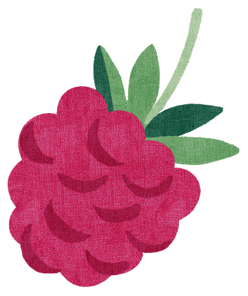 Illustration of a raspberry with green leaves on a white background