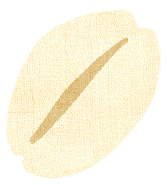 Beige color swatch with a brown line on a white background
